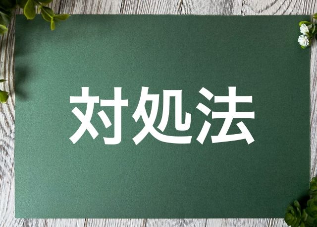 デイトラ受講を後悔しない・挫折しないための対処法